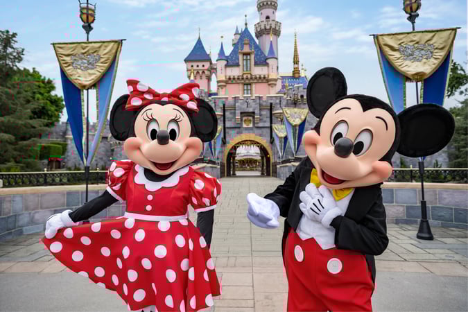 Disneyland 3