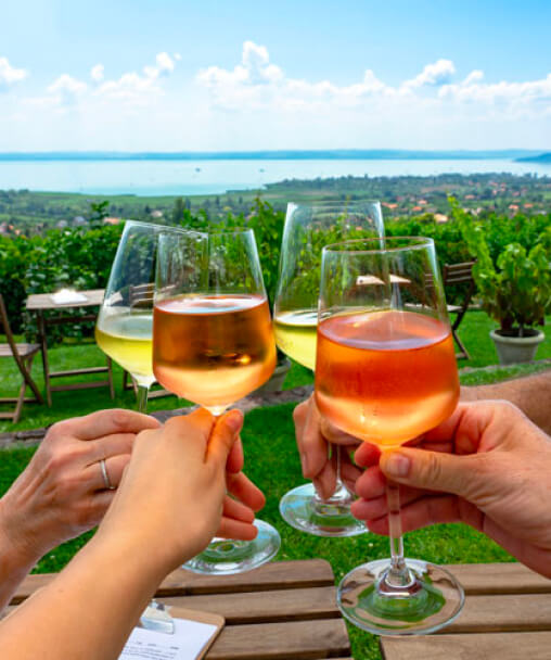 wine glasses